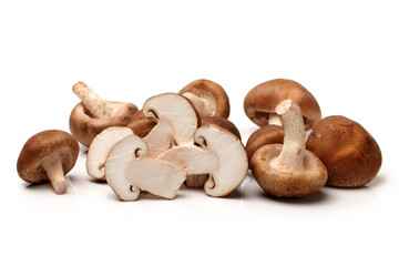 Shiitake mushroom on the White background 