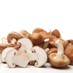 Shiitake mushroom on the White background 