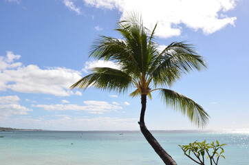 Fototapeta na wymiar Mauritius. Maurice island. Indian Ocean