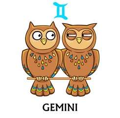 Zodiac sign Gemini. Fantastic animation animal. Vector illustration isolated on a white background.