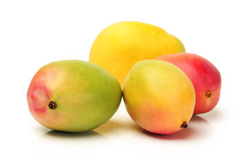 Mango on a white background