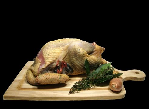 pintade