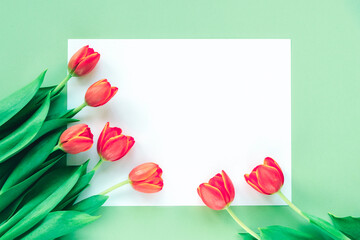 Red tulips on blank sheet on green table. Spring festive background. Top view, flat lay, copy space