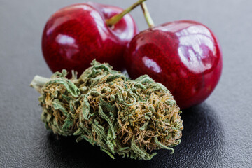 Macro close-up of bright green buds of marijuana. covered with crystals and orange hairs next to...
