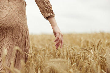 Image of spikelets in hands countryside industry cultivation autumn season concept