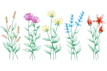 Fototapeta na wymiar Flowers watercolor for wedding card design