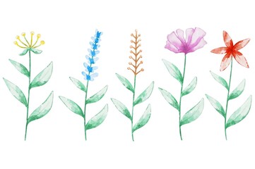 Flowers watercolor for wedding card design
