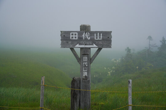 霧の中にたたずむ帝釈山・田代山へ道標