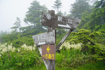 霧の中にたたずむ帝釈山・田代山へ道標