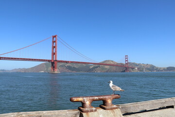 Amazing walk at the Golden Gate Bridge in San Francisco, United States of America. What a wonderful...