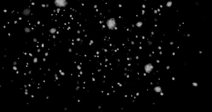 Animation of snow fall on black background
