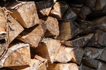 Closeup photo of various dry logs stacked in rows, illuminated by sunlight. The structure of the tree. Decorative wooden layout. Angle shot with selective focus