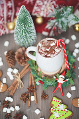 Merry Christmas. Hot chocolate with marshmallow and gingerbread for Christmas. Top view and soft focus on the marshmallow.