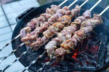 Fresh raw shish kebab, strung on skewers and put on red-hot coals. Juicy turkey meat is being cooked on the backyard of country house. Family barbeque