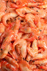 Shrimps background texture. A lot of shrimps. Cooked shrimps.
