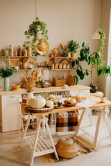 interior of kitchen is made of wood with elements of eco style. autumn decor. 