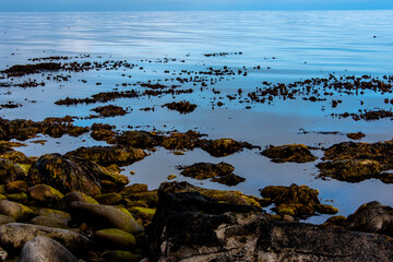 2021 08 13 Tjornes algae await the tide 2