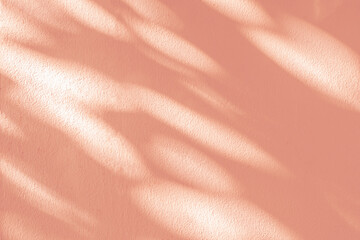 Abstract  light shadow of leaf blurred background. Natural diagonal leaves tree branch shadows and...