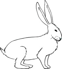 Cute cartoon rabbit, Asian zodiac sign, astrological symbol, isolated on white. Hand drawn vector illustration. Flat style design. 2023 Chinese New Year card, banner, poster, horoscope element.