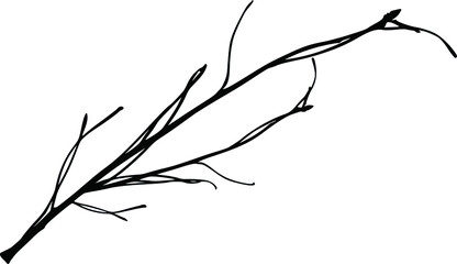Silhouette of a dry branch