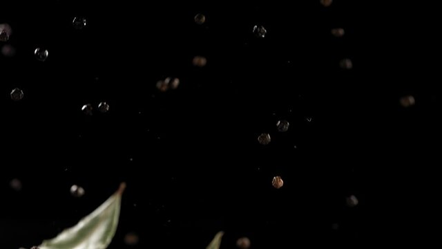 Super Slow Motion Shot of Flying Mix Spices Bay Leaf and Black Pepper in Black Background.