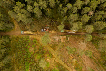 Drone top down view of small scale forestry project