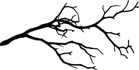 Silhouette of a dry branch