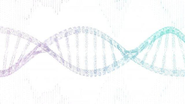 Abstract DNA 3d rotating DNA double helix loop animation. Science and medicine concepts. technology, medicine, gene. 4k white background