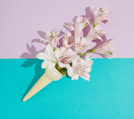 Delicate, white and pink flowers in an ice cream cone on a pink and turquoise background. Minimalist concept. Contrasting colors. Copy space. Flat lay. Floral design.
