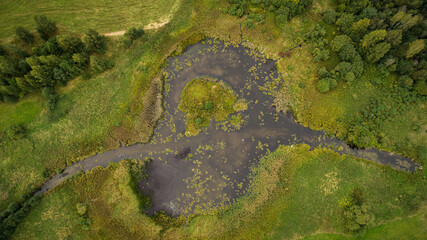 Drone view of river and swamp