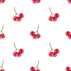 Seamless pattern with red rowan berries isolated on white background.