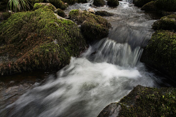 Wasser eines Flusses mit Dynamic, Wellen und Stromschnelle, die über Steine mit Moosen herab fließt