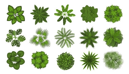 Trees top view. Different plants and trees vector set for architectural or landscape design. (View from above) Nature green spaces. - 473119207