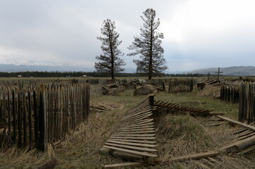 The old Siberian cemetery in the Altai village of Kurai Kosh-Agachsky district. Altai Republic