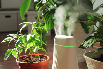 Humidifier and houseplants during the heating season, plant care, cleaning and freshening the air...