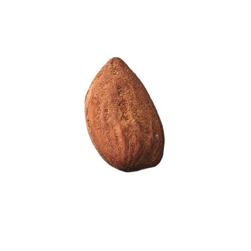  Single almond isolated over white background