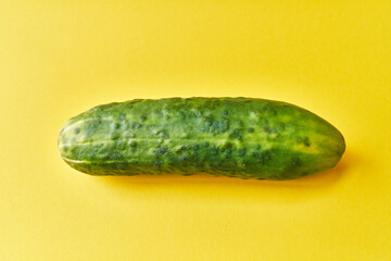  Single cucumber on a yellow background
