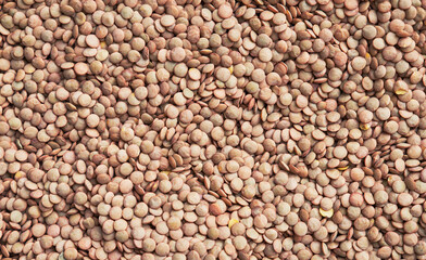 Beautiful lentils image