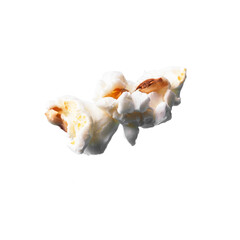  Single delicious salty popcorn isolated on a white background