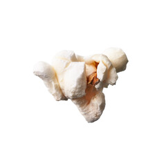  Single delicious salty popcorn isolated on a white background
