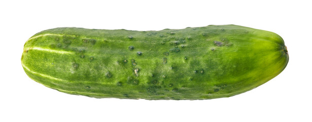  Single cucumber isolated on a white background