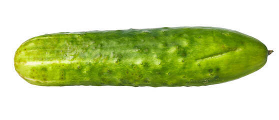  Single cucumber isolated on a white background
