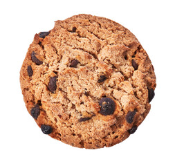  Delicious chocolate cookie isolated on a white background