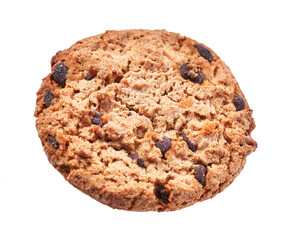  Delicious chocolate cookie isolated on a white background