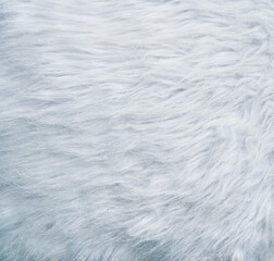 Beautiful fur texture image