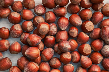 Healthy natural hazelnuts. Raw nuts texture