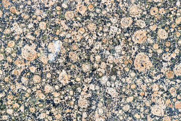 Beautiful granite texture image