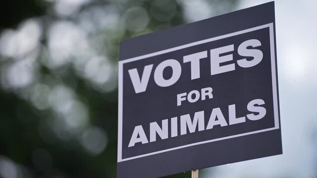Animal advocates against animal testing of cosmetics. Animal rights. Protest signs, banners. Vegans are against eating animals. 