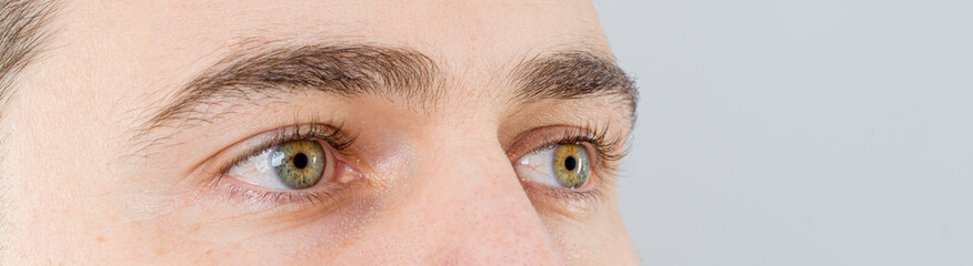 macro eye detail 