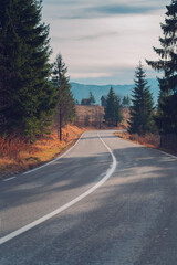 Obraz premium road in the mountains